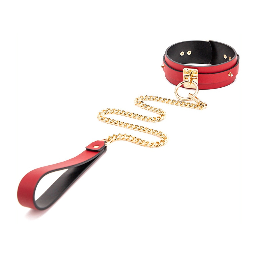 collier-laisse-goldy-rouge-noir1